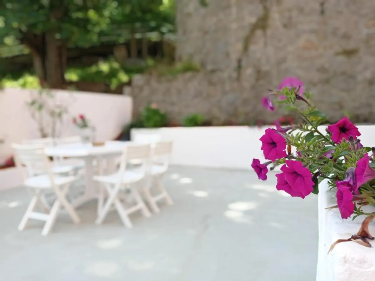 Easo Terrace Apartment Free Private Parking And Air Conditioning San Sebastian